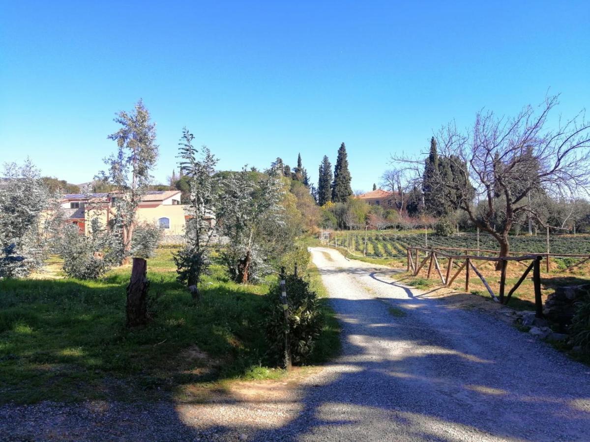 Nonna Litta Villa Albenga Eksteriør bilde